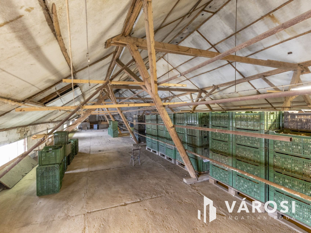 Makói, mezőgazdasági tanya/telephely eladó!