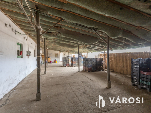 Makói, mezőgazdasági tanya/telephely eladó!