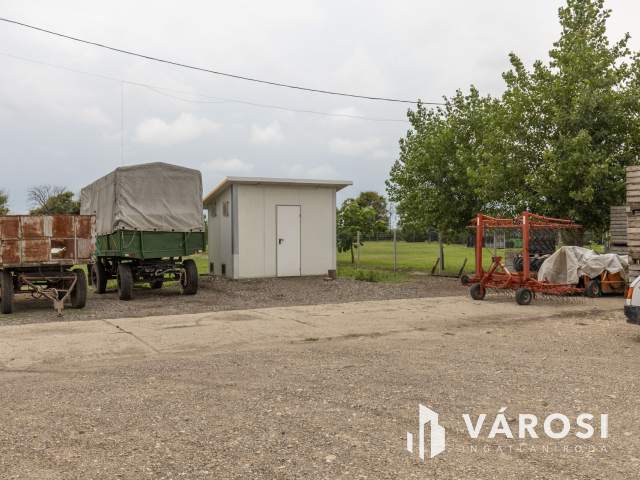 Makói, mezőgazdasági tanya/telephely eladó!