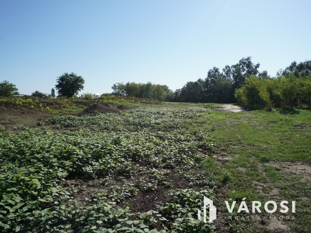 5176 m2 telek több lehetőséggel Gyulán!