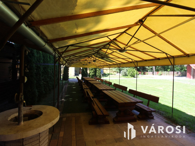 Békéscsabai paradicsom