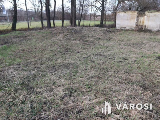 Zalaszentgróti telek ,projekttervel ,ötletes gazdát keres.