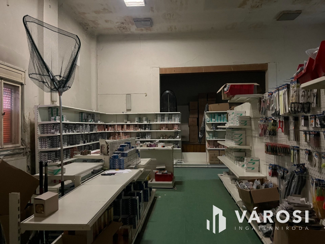 Budapesten nagy ház telekkel eladó!