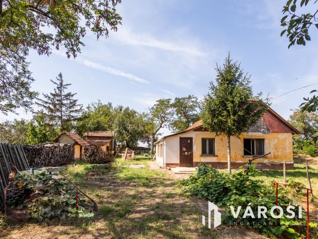 Tanya földdel vagy föld nélkül? Döntse el Ön!