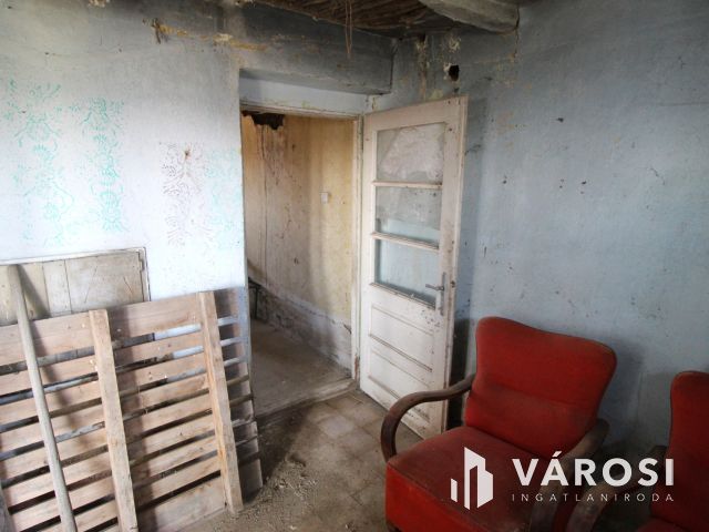 Vidéki élet ezen a sok lehetőséget rejtő kondorosi tanyán