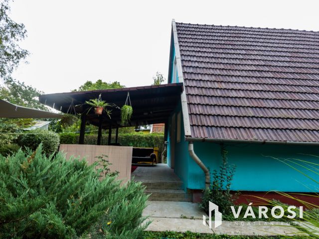 Kisház az erdő mellett