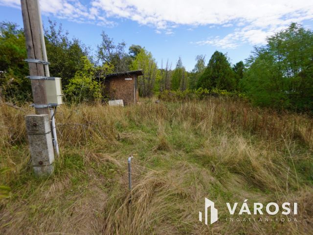 Hatalmas telek eladó Ecseren!