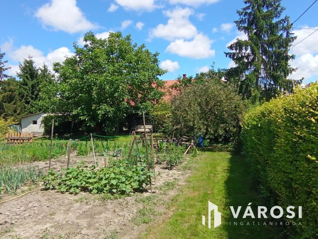 Családi ház a Holt-Duna partján, osztható telekkel!