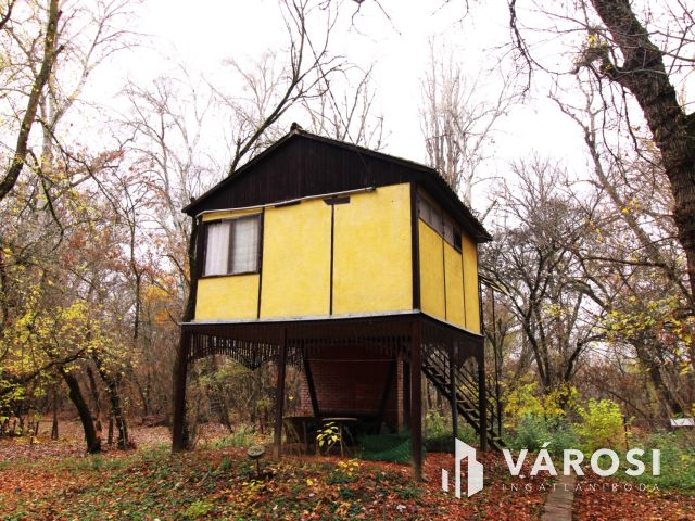 Mártélyi csendélet