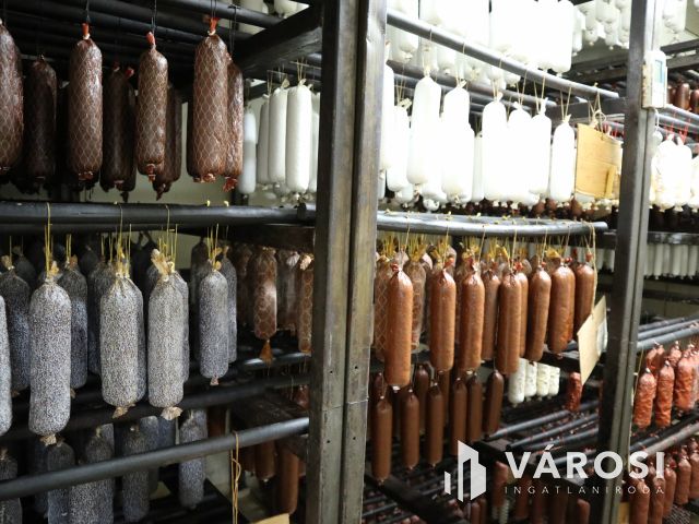 Működő húsfeldolgozó üzem, bővítési lehetőséggel!