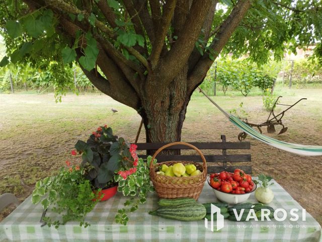 Debrecen-Apafán, Madárdalos Önellátó Kis Birtok Eladó!