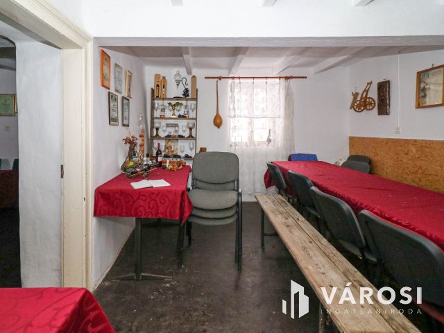 Eladó borászati ingatlan Csongrád közelében