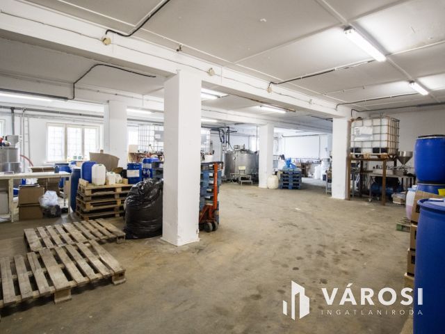 Modern családi otthon és kész üzemi bázis